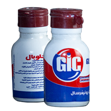 GIC Paints